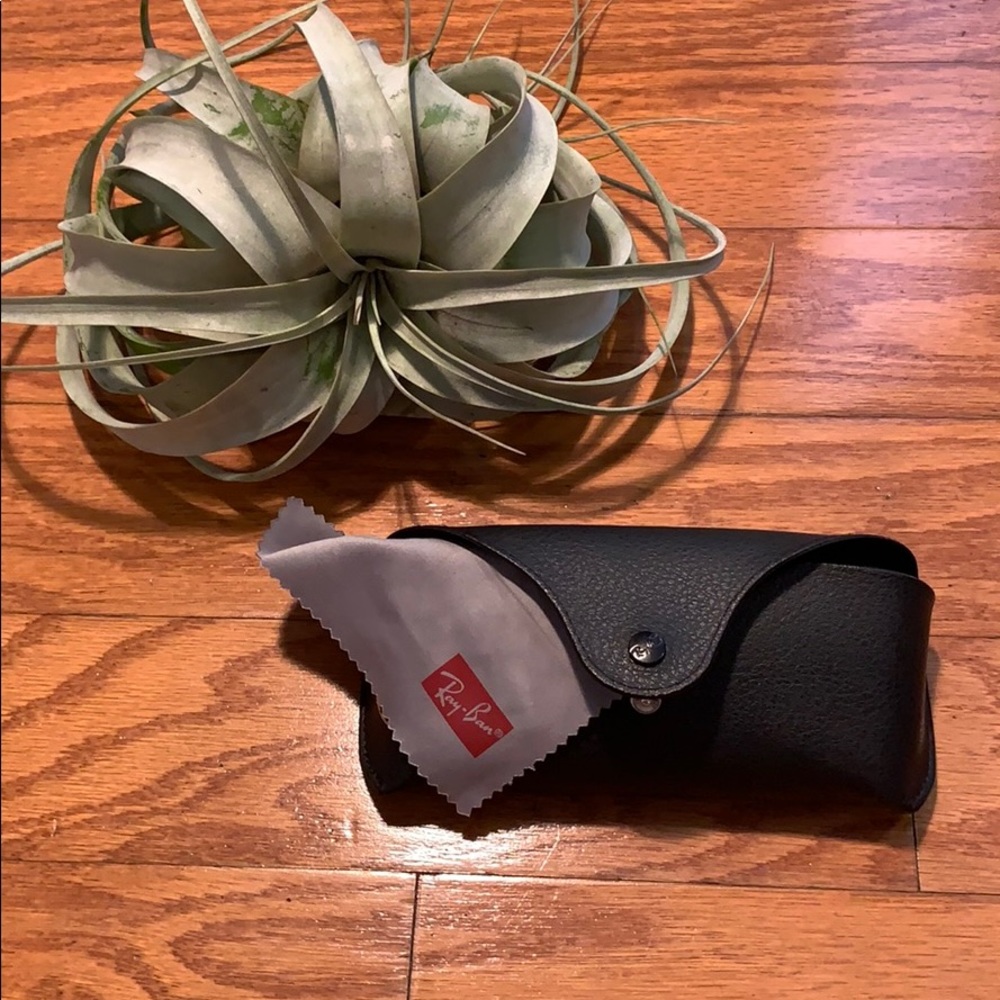 Ray Ban aviator case
